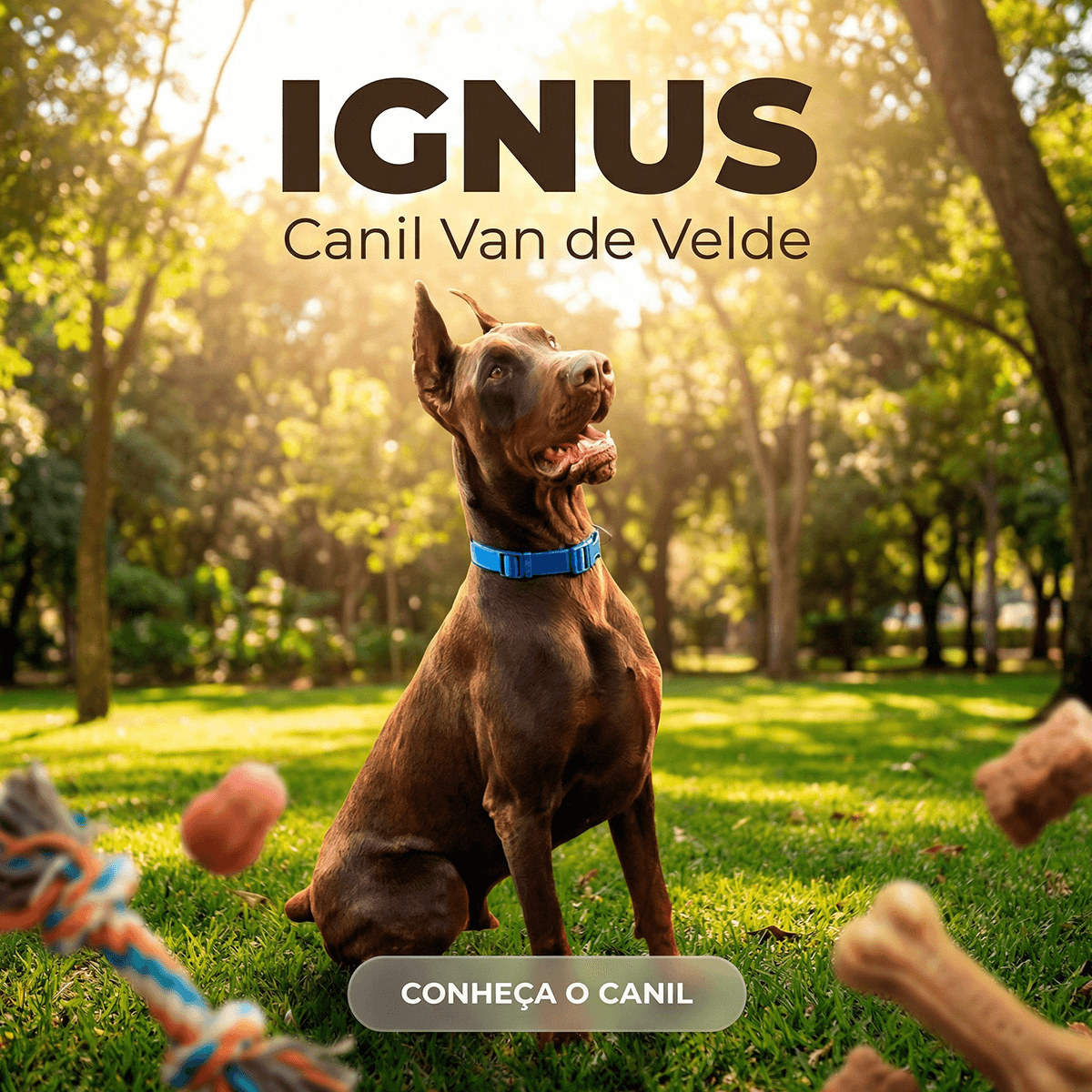 Imagem profissional gerada por IA